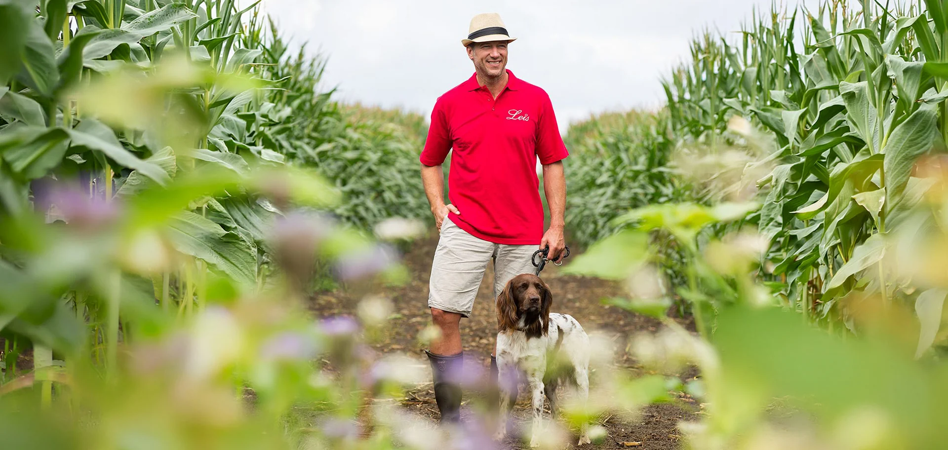 Mann im roten Leis-Poloshirt mit Hund zwischen Maispflanzen